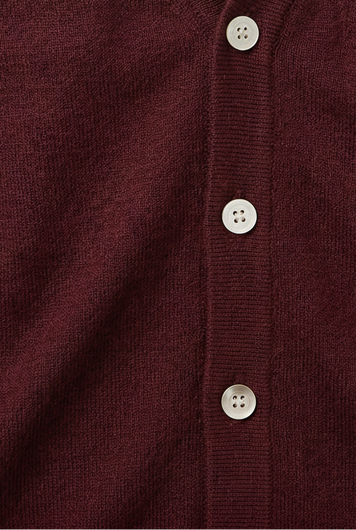 Alexandre | Gilet Homme Boutonné à Col V en Maille Fine et Bords Côtelés - vue 3