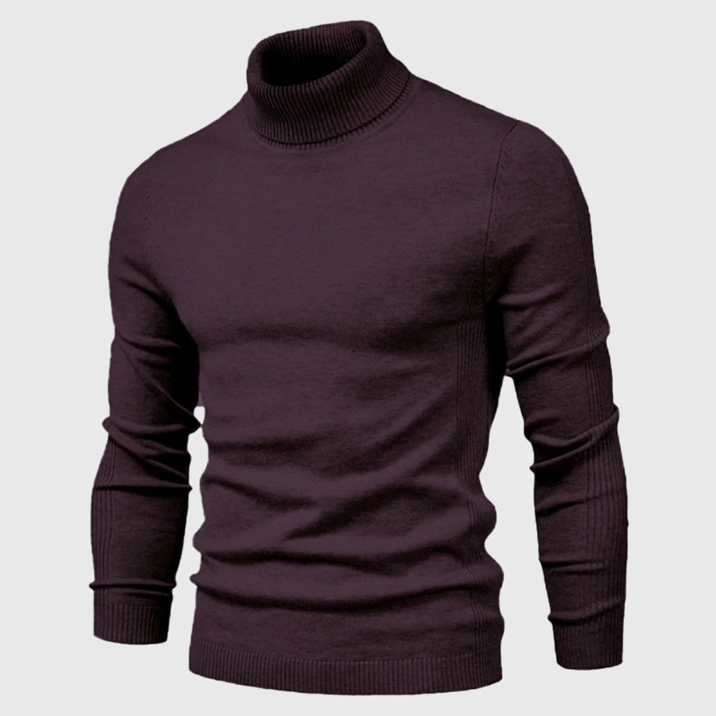 Julien | Pull Col Roulé Homme en Maille Fine Facile d'Entretien - Prune